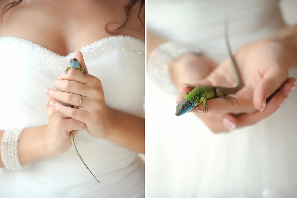 Wedding (1078)